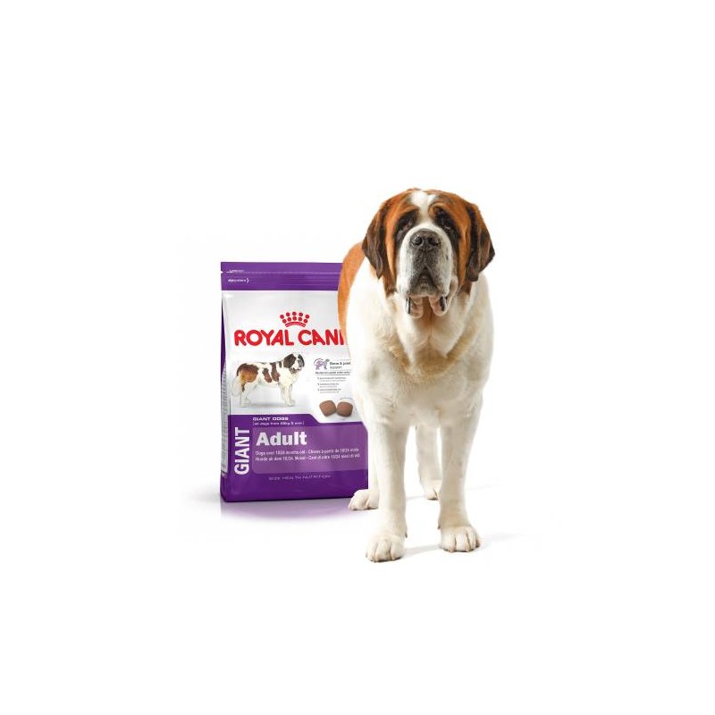 Alimento seco Royal Canin Giant para perro grande