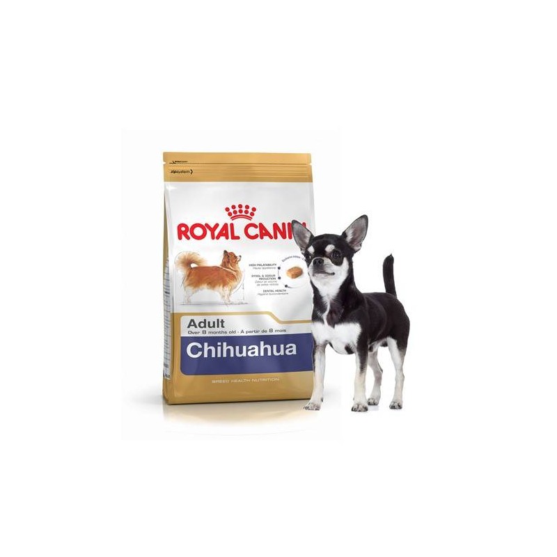 Alimento seco Royal Canin para Chihuahua