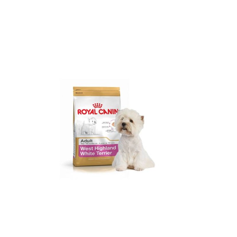 Royal Canin dry food for Westie