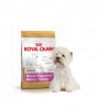 Royal Canin dry food for Westie