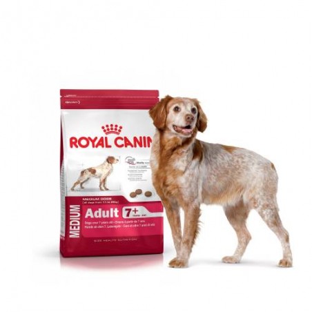 Royal Canin dry food for medium breed dog