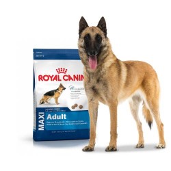Croquettes Royal Canin Maxi pour grand chien