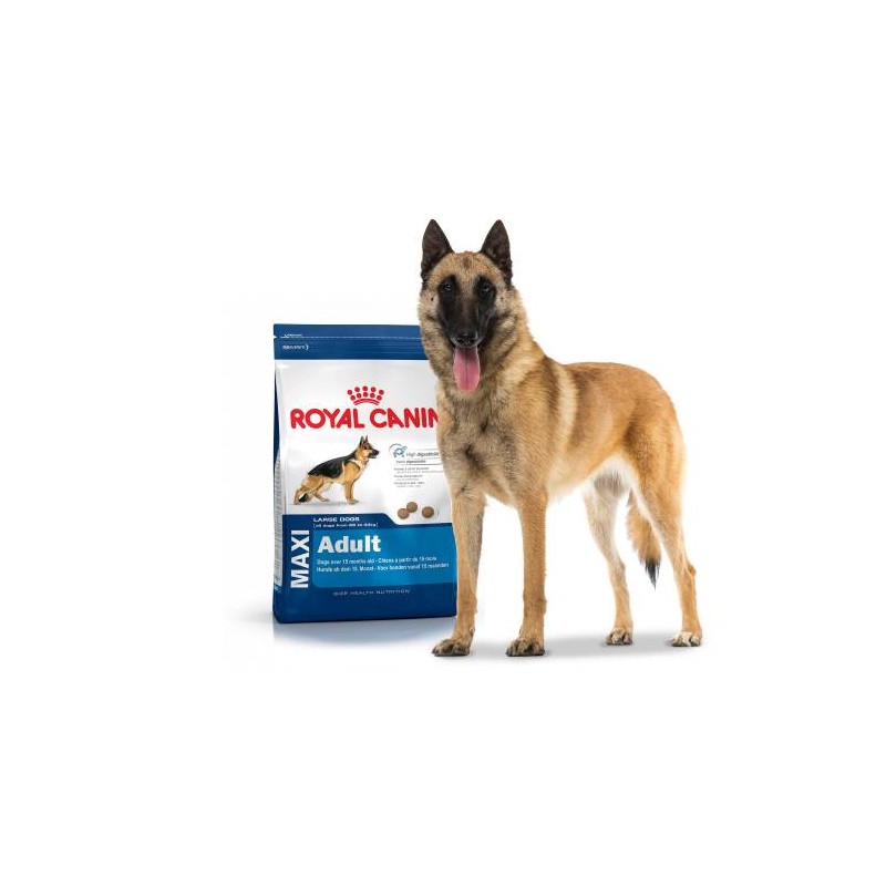 Croquettes Royal Canin Maxi pour grand chien